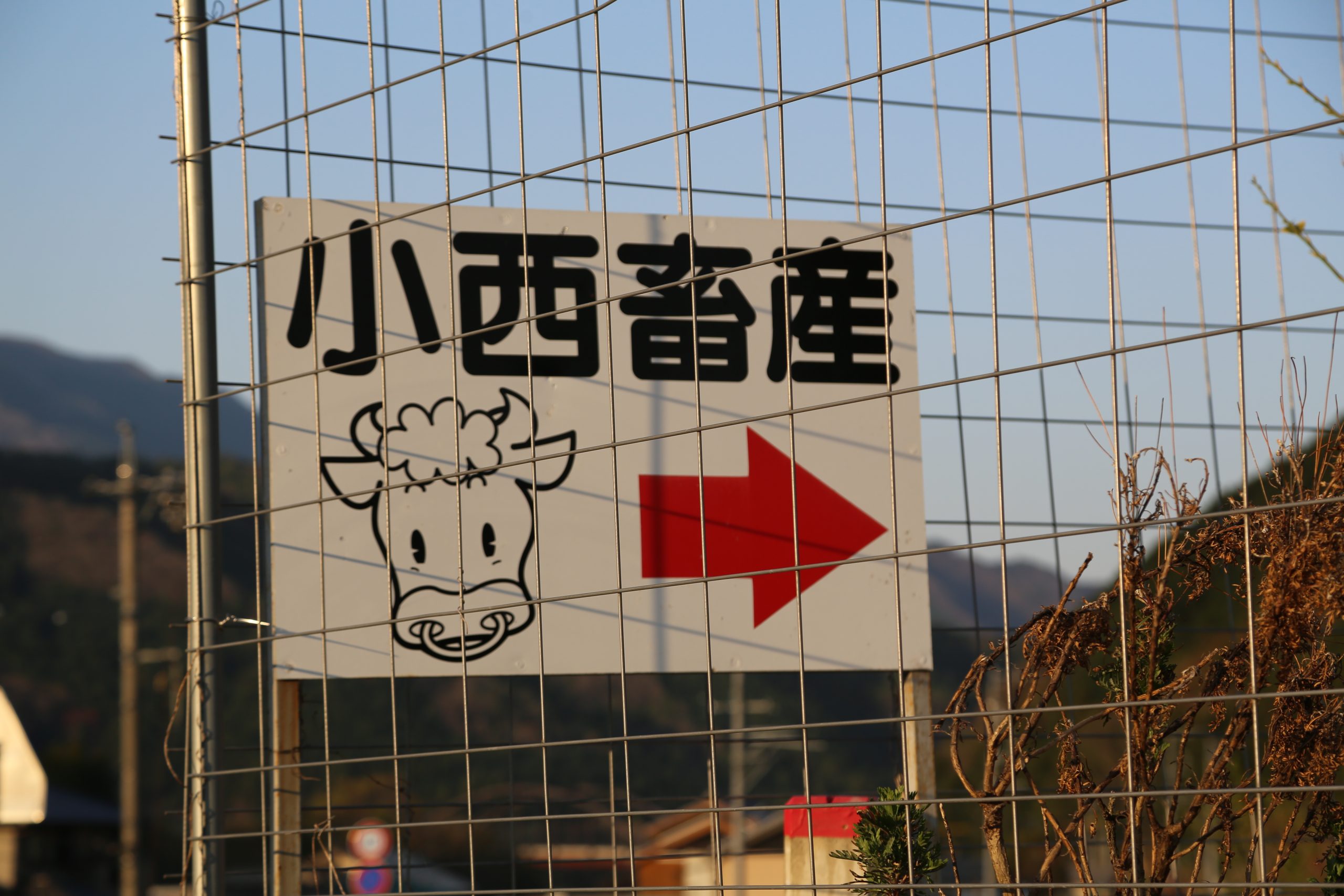 Steak R volution DVD Jour2f te