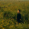 Paradis (DVD) – Image 2