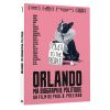 Orlando, ma biographie politique (DVD)